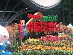 -东平国家森林公园
