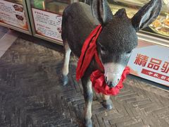 -乔家小院•非遗驴肉•本地小海鲜(滨河路店)