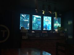 -S Team剧情密室(杭州龙翔桥店)