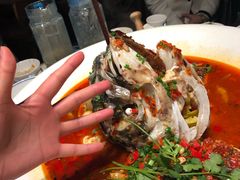 -坛宗剁椒鱼头(河西王府井店)