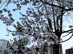 -串来串去(中关村店)