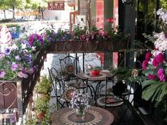 -SONGUOLIFE松果咖啡(七莘路店)