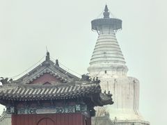 -红花点心局(护国寺店)
