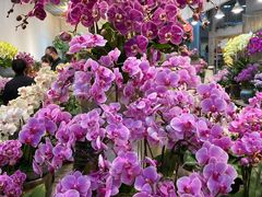 -双季花艺园艺市场(浦东店)