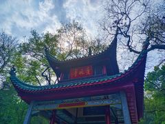 -岳麓山风景名胜区