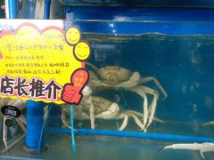 -蚝专家(北滘店)