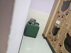 -瑞鹏宠物医院·内科·中兽医·骨科(苗圃店)