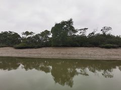 -东寨港红树林旅游区