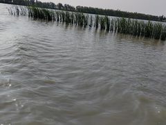 -卧龙湖