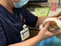 -芭比堂动物医院·CT·微创中心(新顺分院)