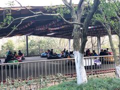 -杭州少年儿童公园