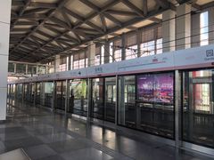 -园博园(地铁站)