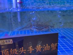 -膳富贵黄油蟹体验馆(欢乐港湾店)