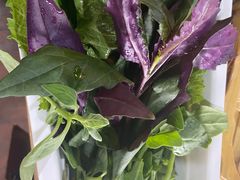 -滇釜火锅·能喝汤的火锅(车公庄店)