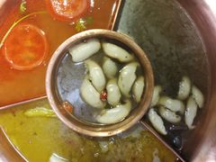 -老诚一锅羊蝎子(黄寺大街店)