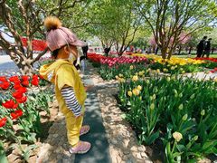-石家庄市植物园