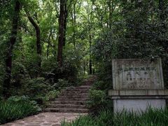 -紫霞湖公园