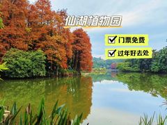 -深圳仙湖植物园