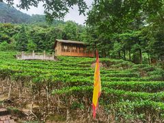 -姑婆山旅游区