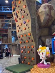 -卡通尼·Safari非洲探索乐园·生日会(金桥国际商业广场店)