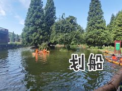 -武陵山森林公园