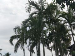 -东芭乐园
