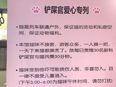 -猫咪博物馆(顶澳仔猫街店)