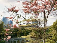 -四海公园(南山区)