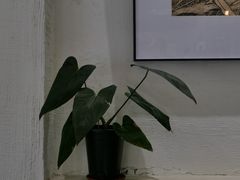-花仓咖啡(祥安巷店)
