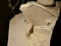 -洛阳周王城天子驾六博物馆