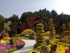 -共青国家森林公园-售票处