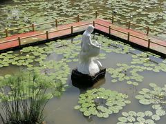 -广州莲花山旅游区