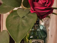 大堂-EATALIA意塔利意式餐厅(鼓楼店)