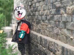 -罔极寺