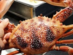 -韩丰源海鲜烤肉火锅自助餐(合肥梦之城购物中心店)