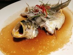 清蒸东海大黄鱼-鹊玥·粤菜小馆(汇智国际商业中心店)