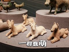 -广西壮族自治区博物馆