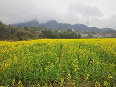 -玻璃桥景区石牛寨