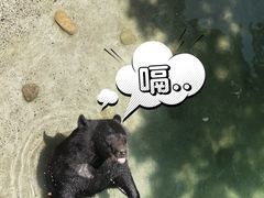 -上海野生动物园
