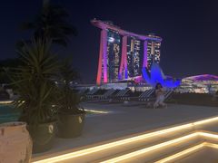 -新加坡文华东方酒店