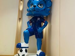 -八万人体育馆-外场足球场