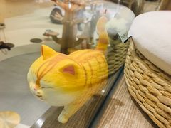 -飞行喵MR PILOT|猫舍·猫咖(静安大融城店)
