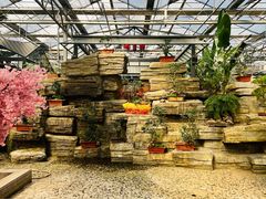 -天源吉布世温泉水乐园