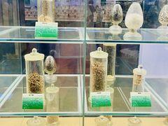 -广东中医药博物馆
