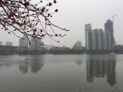 -西北湖绿化广场