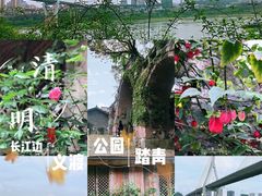 -大渡口区义渡公园