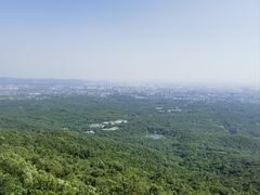 -紫金山山顶公园