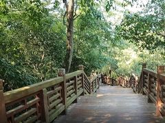 -紫金山山顶公园