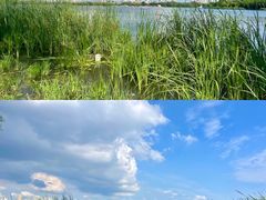 -长春市南湖公园