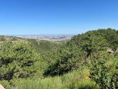 -大青山野生动物园